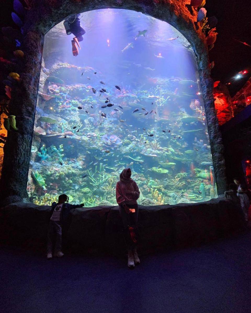 Oceanarium BXSea Bintaro (instagram.com/windaayuningrum86)