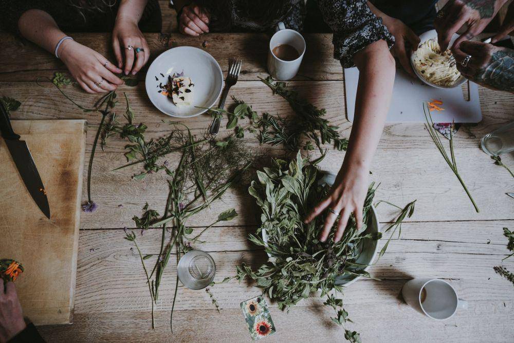 ilustrasi mengeringkan daun herbal (unsplash.com/Annie Spratt)