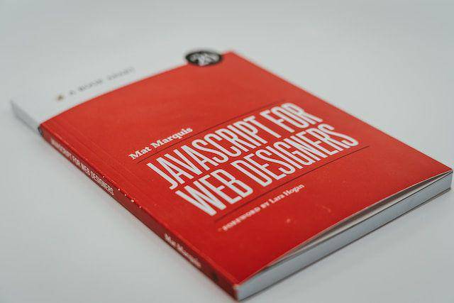 ilustrasi buku panduan JavaScript untuk Web Designers (unsplash.com/Claudio Schwarz)
