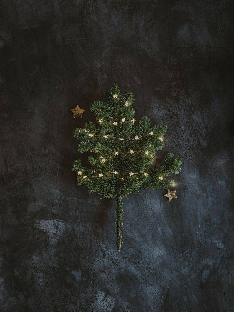 Pohon Natal (unsplash.com/Annie Spratt)