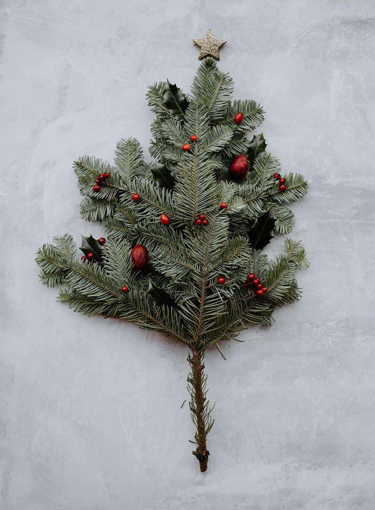 Pohon Natal (unsplash.com/Annie Spratt)