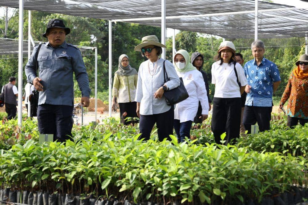 UNESCAP Tinjau IKN untuk Pastikan Sistem Pembangunan Berkelanjutan