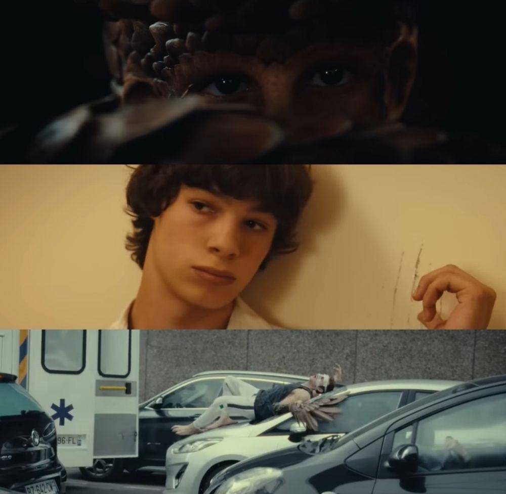 cuplikan film Animal Kingdom (youtube.com/STUDIOCANAL International)