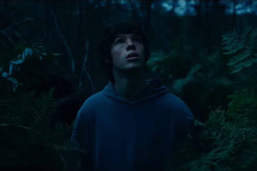 cuplikan film Animal Kingdom (youtube.com/STUDIOCANAL International)