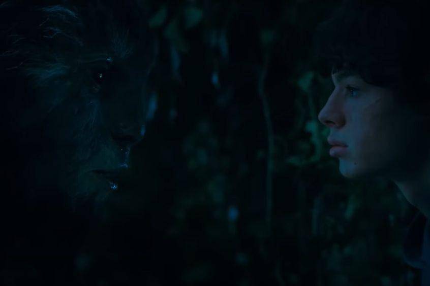 cuplikan film Animal Kingdom (youtube.com/STUDIOCANAL International)