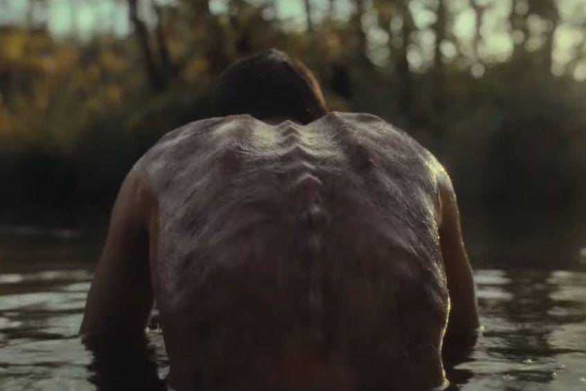 cuplikan film Animal Kingdom (youtube.com/STUDIOCANAL International)