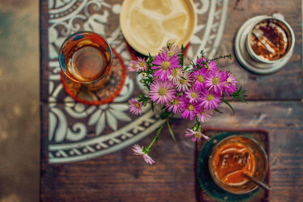 aster di atas meja (pexels.com/Thới Nam Cao)
