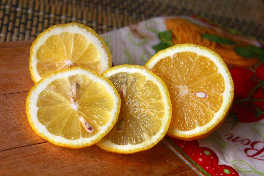 ilustrasi lemon (pexels.com/Eleonora Sky)