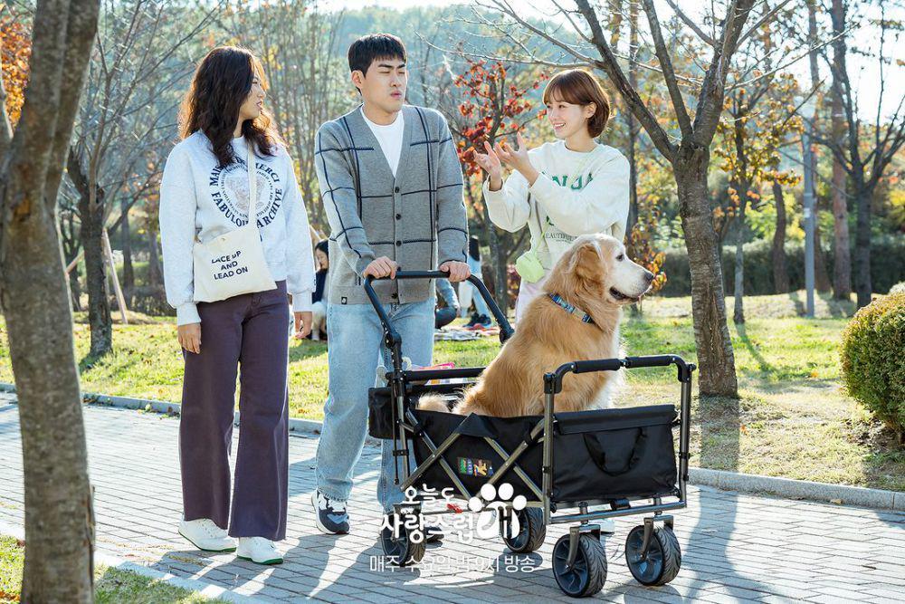 still cut drama A Good Day to Be a Dog (dok.MBC/A Good Day to Be a Dog)