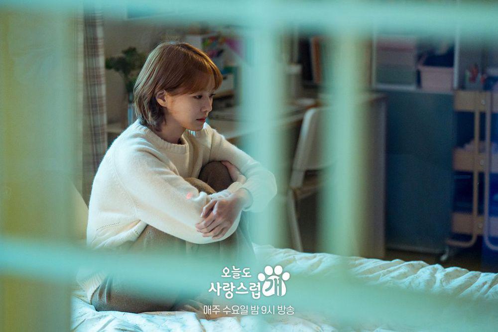 still cut drama A Good Day to Be a Dog (dok.MBC/A Good Day to Be a Dog)