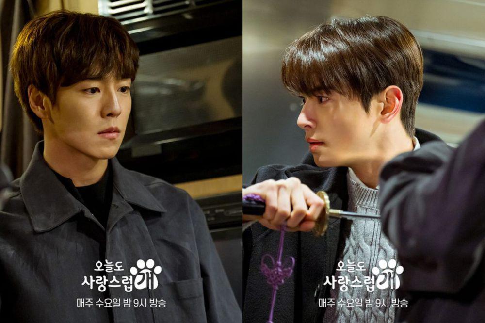 still cut drama A Good Day to Be a Dog (dok.MBC/A Good Day to Be a Dog)