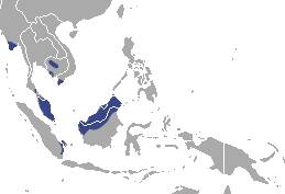 Wilayah penyebaran berang-berang sumatra (commons.m.wikimedia.org/Chermundy)