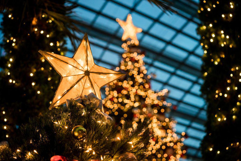 Ribut soal Hadiah Natal, Perempuan AS Tewas Ditembak Adik Sendiri