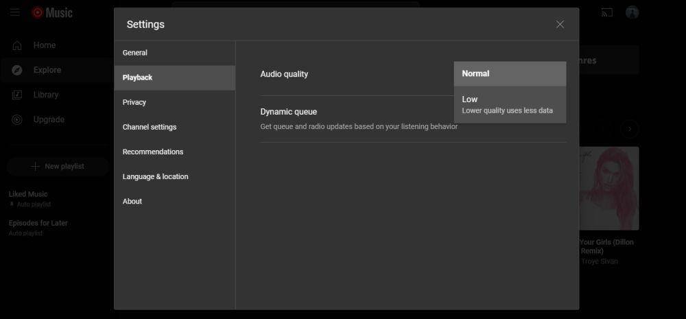 YouTube Music (dok. Googl)