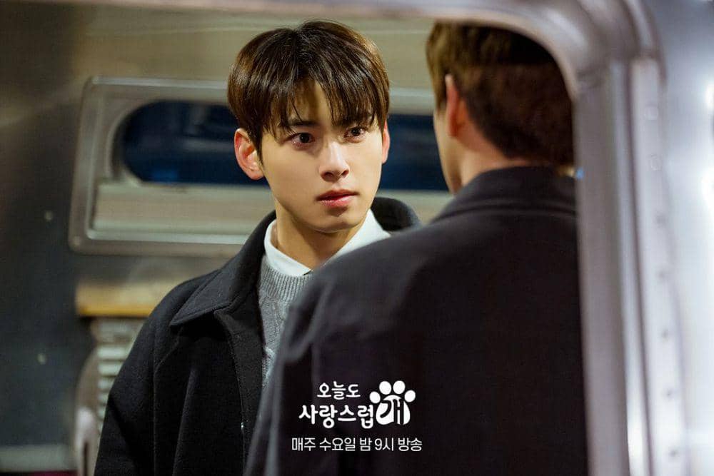 potret Cha Eun Woo di drakor A Good Day to Be a Dog (instagram.com/mbcdrama_now)