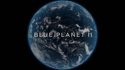 Blue Planet II (dok. BBC Studios/Blue Planet II)