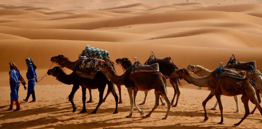 penduduk Gurun Sahara (https://allthatsinteresting.com/)