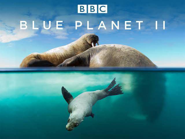 Blue Planet II (dok. BBC Studios/Blue Planet II)