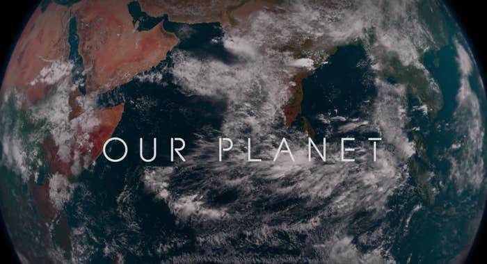 Our Planet (dok. Netflix/Our Planet)