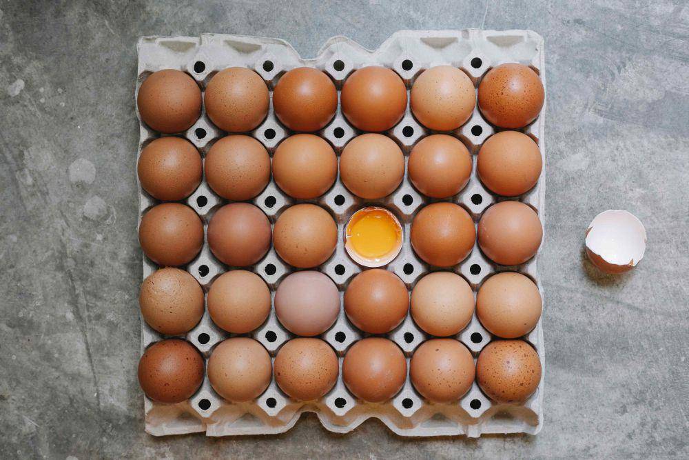 ilustrasi telur (pexels.com/Klaus Nielsen)