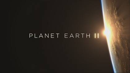 Planet Earth II (dok. BBC Studios/Planet Earth II)