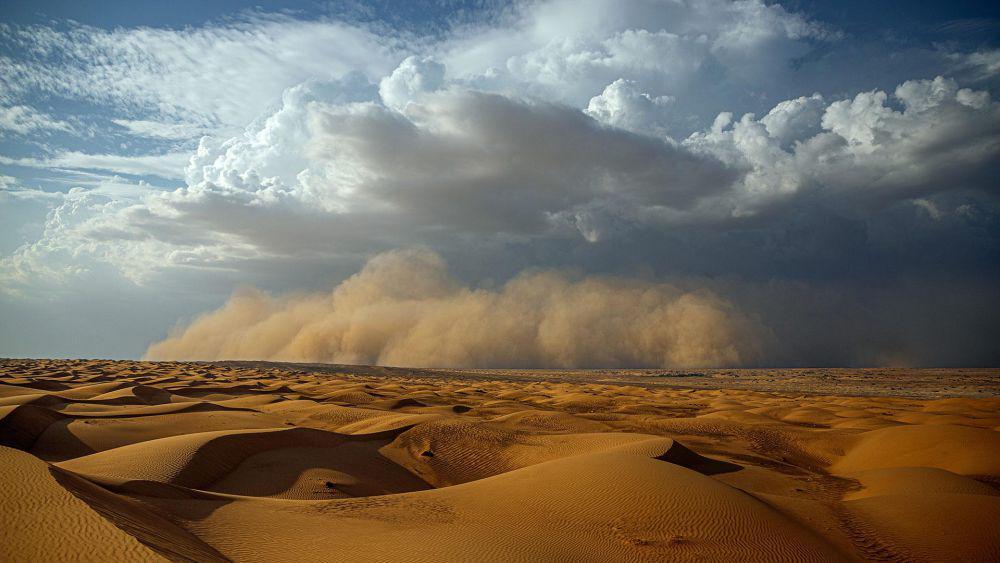 ilustrasi suhu ekstrem Gurun sahara (https://www.eumetsat.int/)