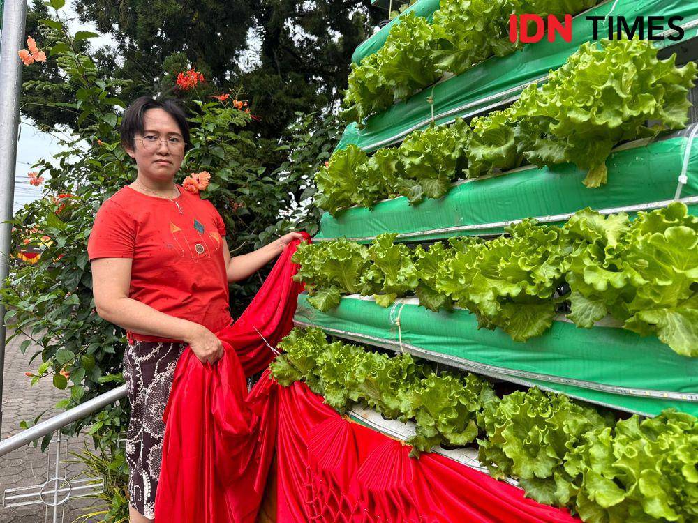 Ada ratusan bibit sayuran yang ditanam satu bulan sebelum dihias. (IDN Times/Teri).
