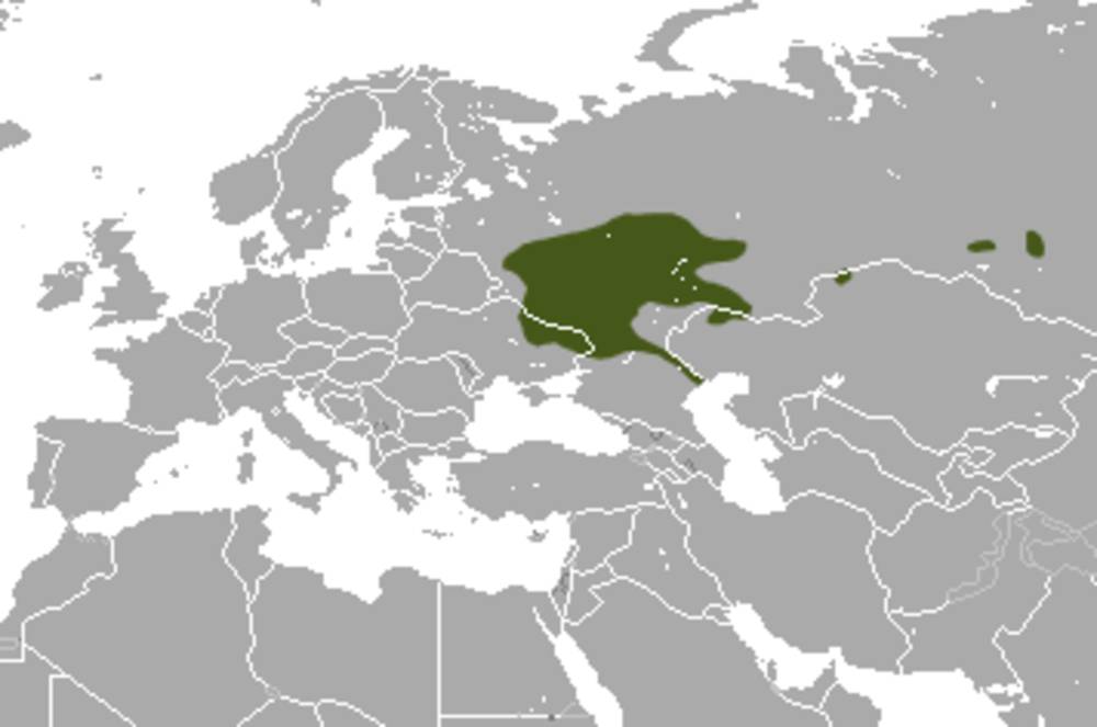Wilayah penyebaran desman rusia (commons.m.wikimedia.org/Chermundy)