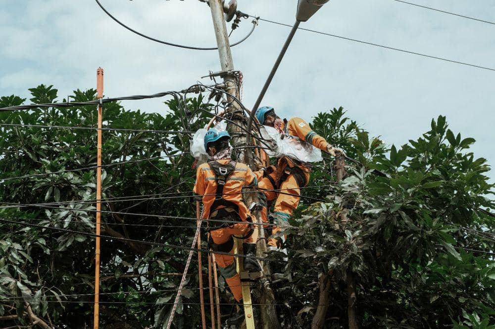 Distribusi jaringan listrik bagi masyarakat Kalimantan Timur bulan November 2023. Foto PLN