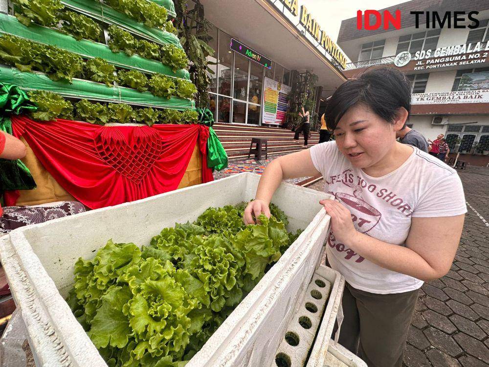 Hidroponik jadi bahan utama untuk membuat pohon natal. (IDN Times/Teri),