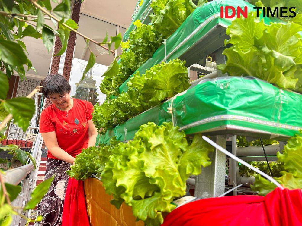 Sayuran ini nantinya akan dibagikan ke umat yang membutuhkan. (IDN Times/Teri).