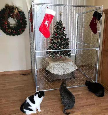 Potret lucu pada hari Natal (x.com/nocontextscats)