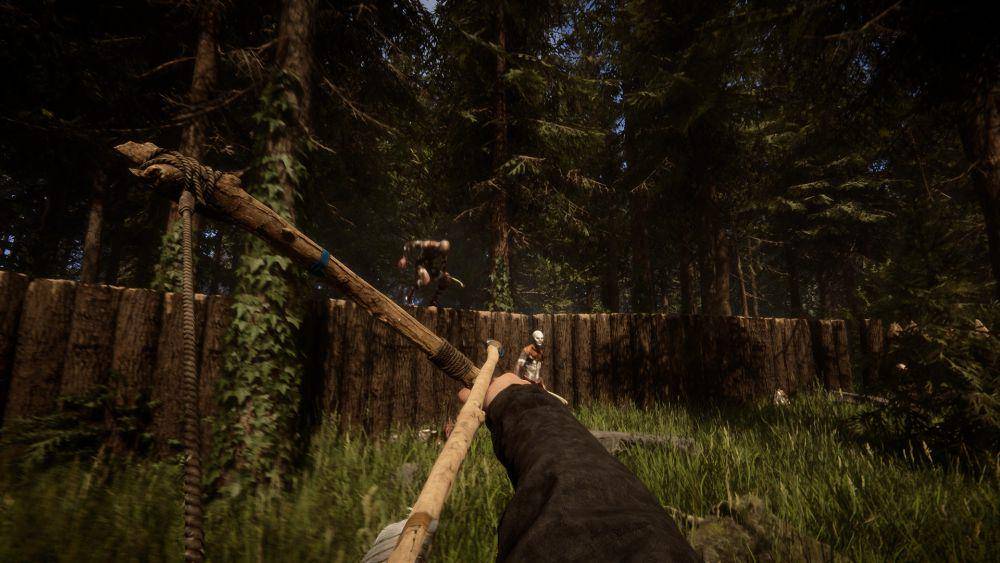 Game Sons Of The Forest (dok. Steam/Sons Of The Forest)