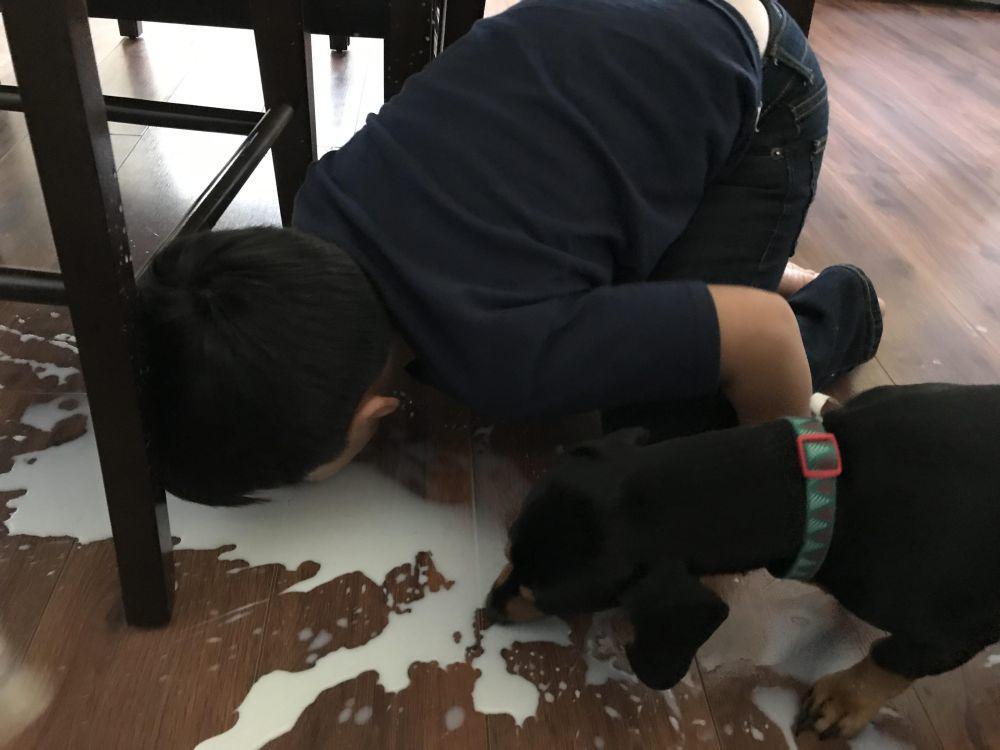 8 Kelakuan Kocak dan Ngeselin Anak Kecil saat Minum Susu