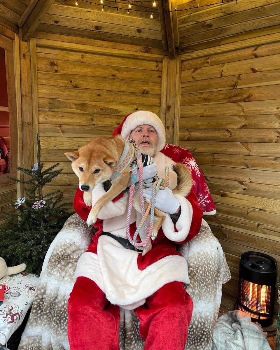 foto gemas Shiba Inu dan Santa Claus (reddit.com/user/abbisfab)