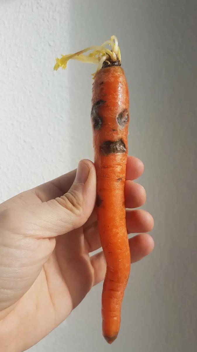 potret wortel bentuk unik (reddit.com/user/kotzerUhu)