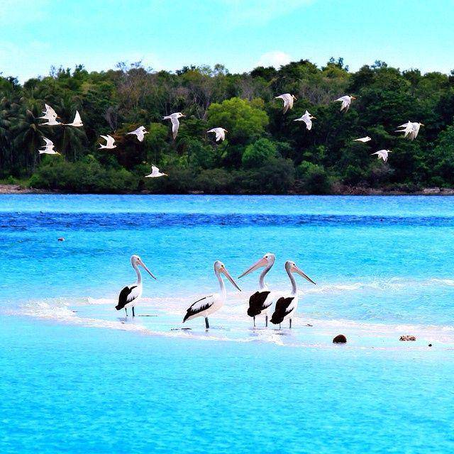 potret Pantai Pasir Timbul Ngurtafur (instagram.com/ilhamarch)