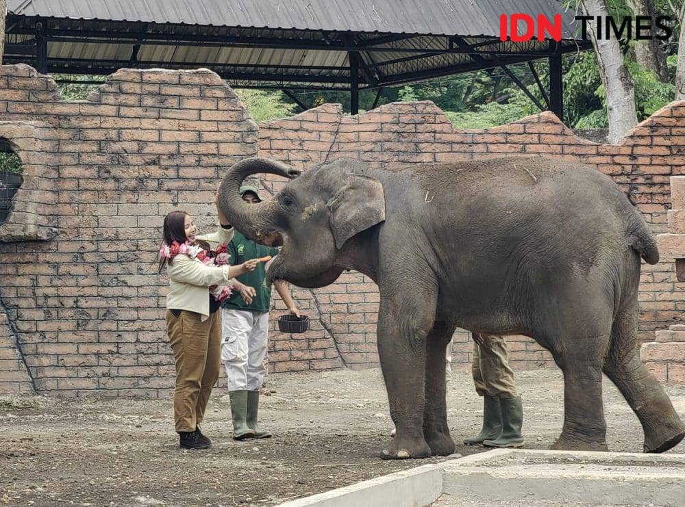 Libur Natal Tahun Baru, Pengunjung Solo Safari Membeludak