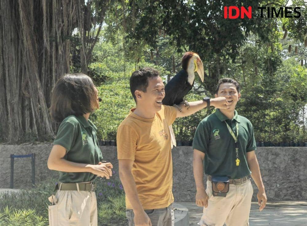 Pengunjung Solo Safari berinteraksi dengan satwa. (IDN Times/Larasati Rey)
