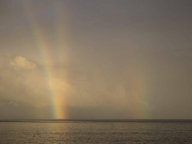 potret twinned rainbow (commons.wikimedia.org)