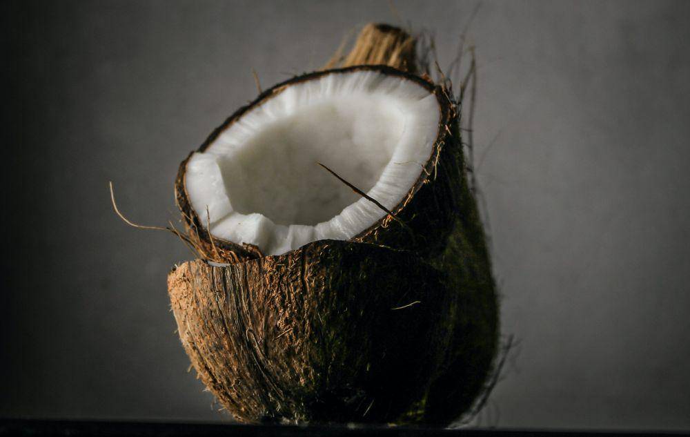 Ilustrasi buah kelapa (pexels.com/samer daboul)