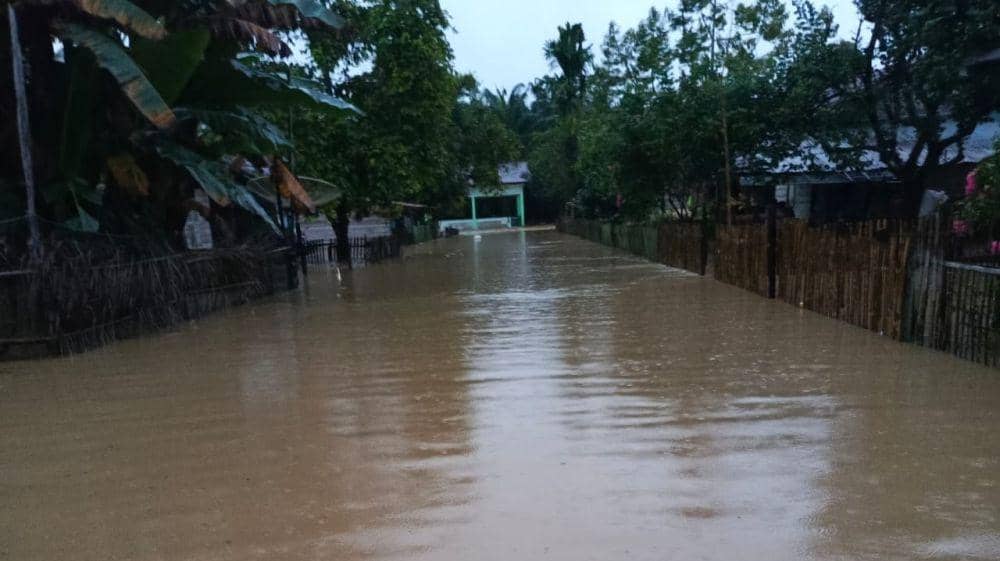 Ilustrasi banjir (Dokumentasi Pusdalops BPBA untuk IDN Times)