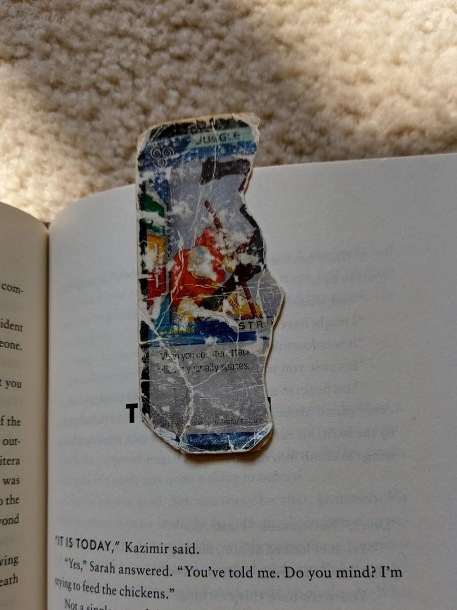 potret penanda buku unik (reddit.com/user/thecajuncavalier)