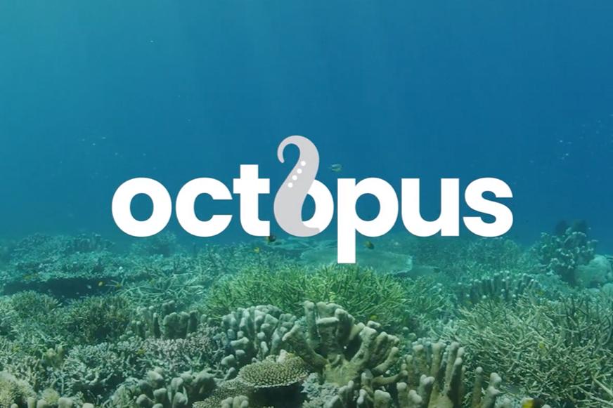 Profil Octopus, Startup Milik Hamish Daud yang Sedang Viral