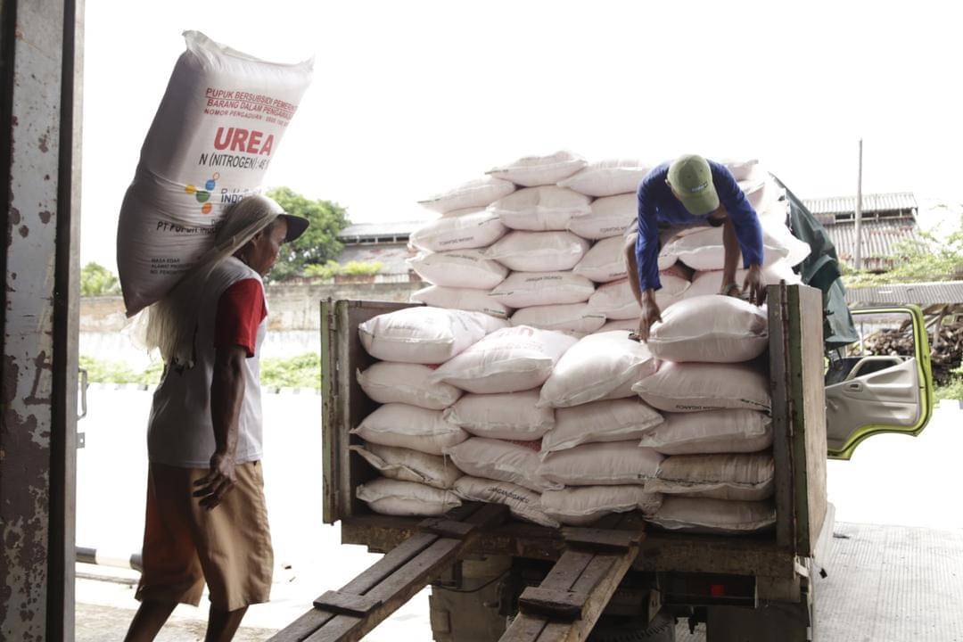 Distribusi pupuk subsidi.