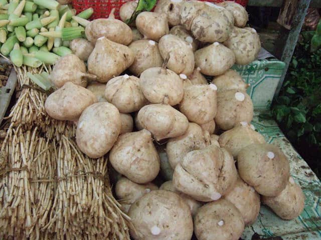 10 Umbi-umbian dalam Bahasa Jawa, Pernah Dengar Gothe? | IDN Times