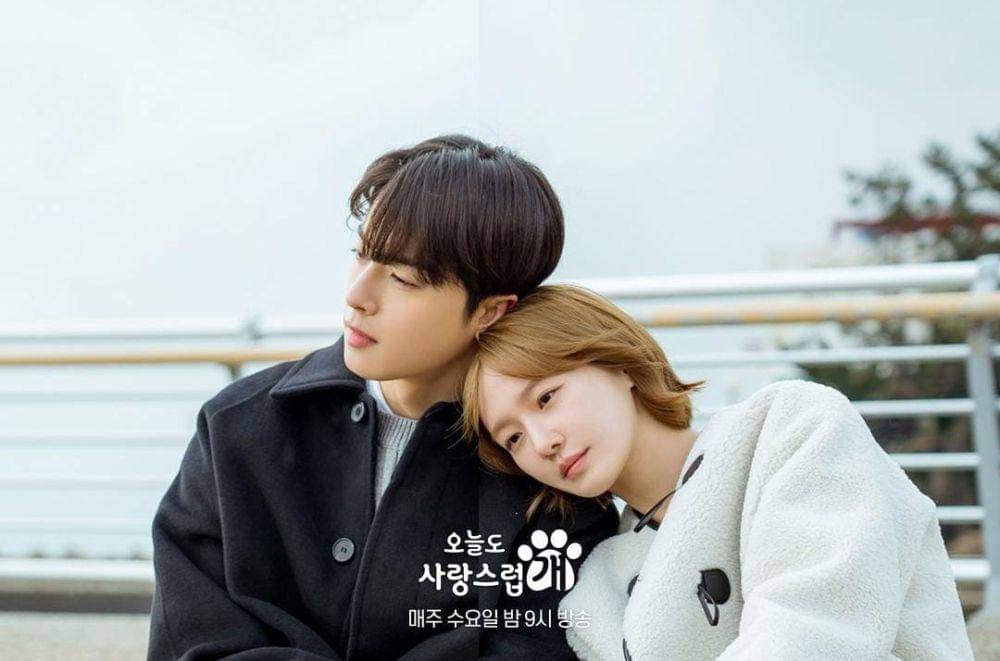 Cha Eun Woo dan Park Gyu Young di drama A Good Day to Be a Dog (instagram.com/mbcdrama_now)