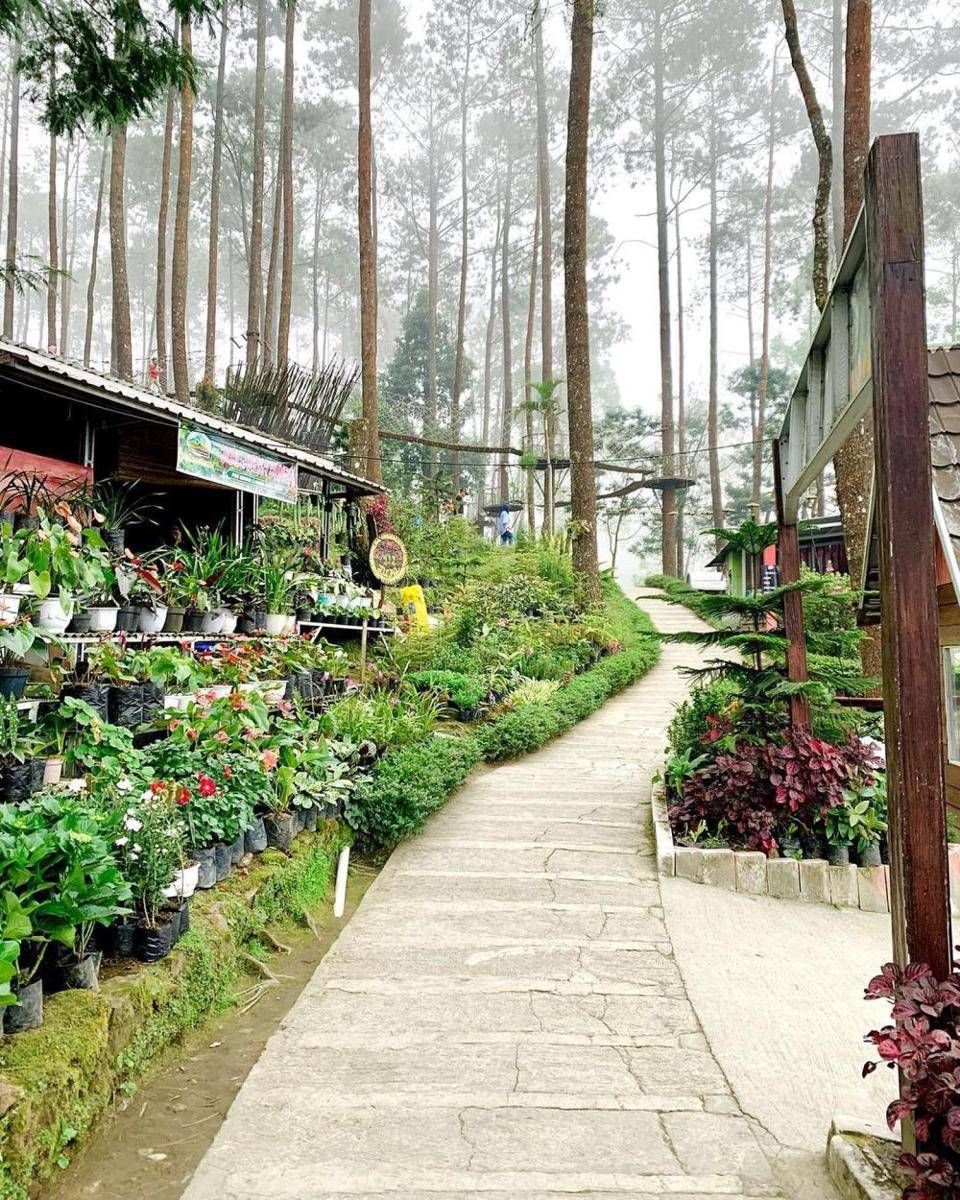 The Lawu Park (instagram.com/the_lawupark))