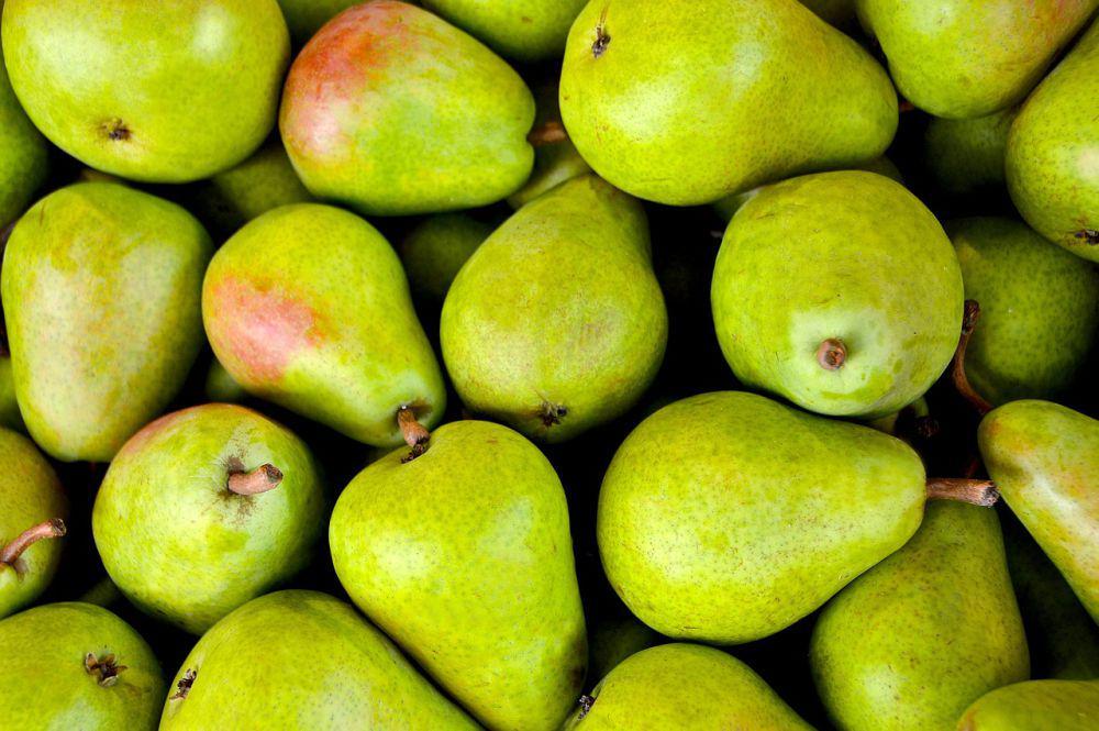 ilustrasi buah pir (pixabay.com/PIRO4D)