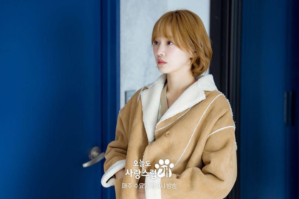 still cut drakor A Good Day to be A Dog (instagram.com/mbcdrama_now)